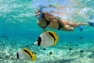 snorkel