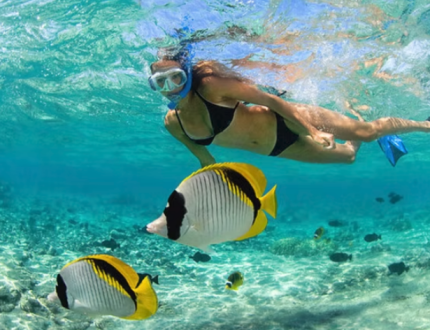 snorkel